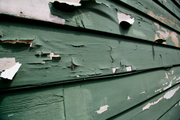 Storm Damage Siding Repair in Long Grove, IA